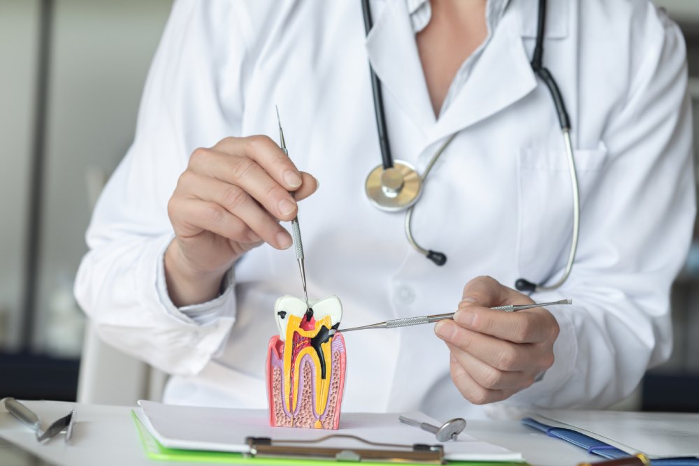 Doctor shows dental disease on blurred office background.